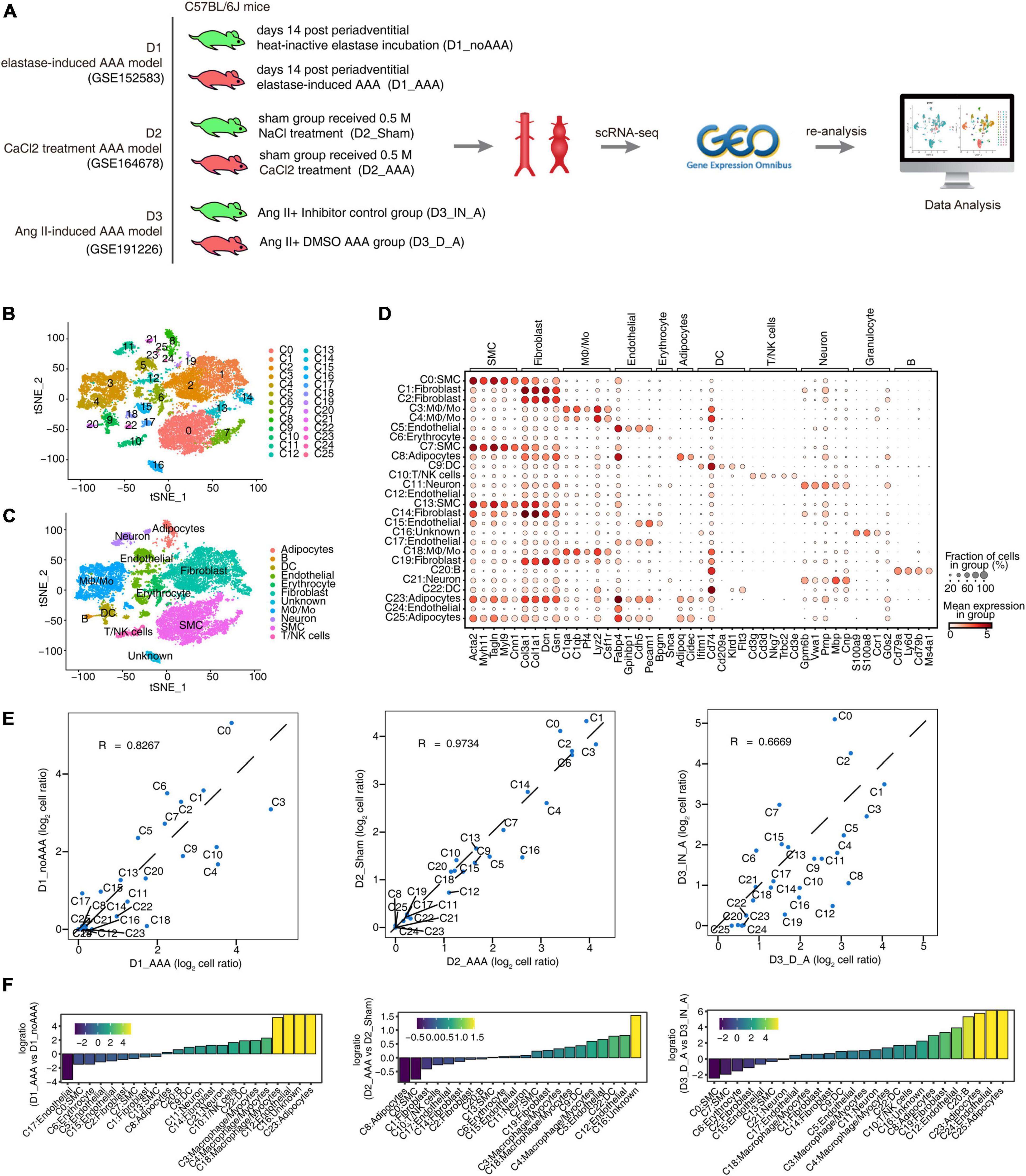 Single-cell transcriptome in silico analysis reveals conserved regulatory programs in macrophages/monocytes of abdominal aortic aneurysm from multiple mouse models and human